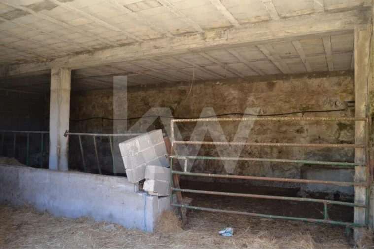 Quinta T9 para Venda em Covilhã e Canhoso Foto 45