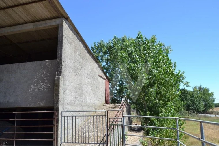 Quinta T9 para Venda em Covilhã e Canhoso Foto 50