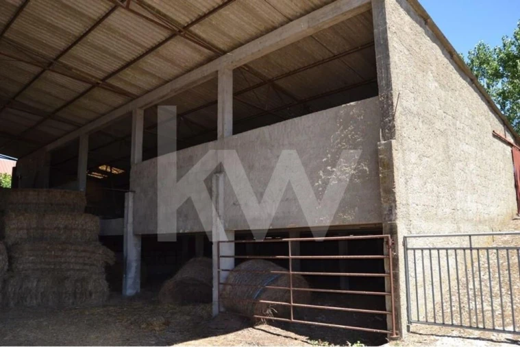 Quinta T9 para Venda em Covilhã e Canhoso Foto 51