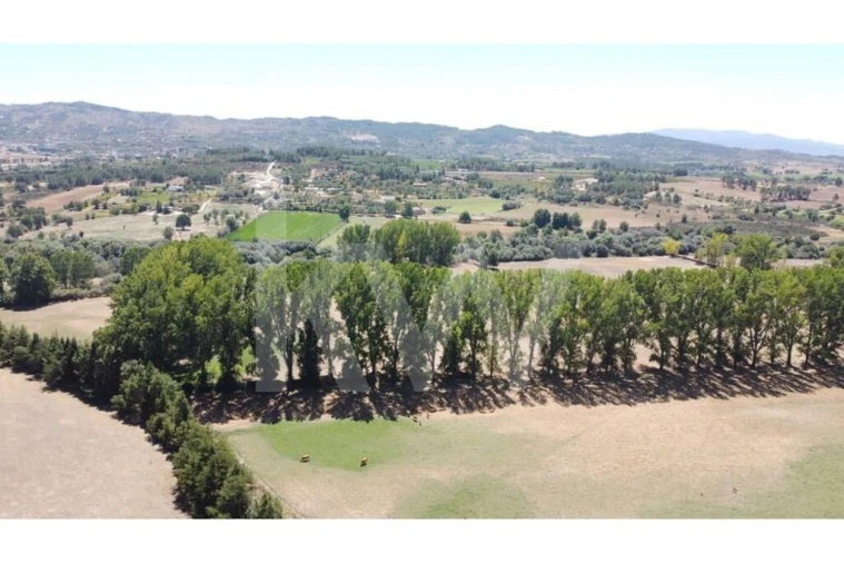 Quinta T9 para Venda em Covilhã e Canhoso Foto 64