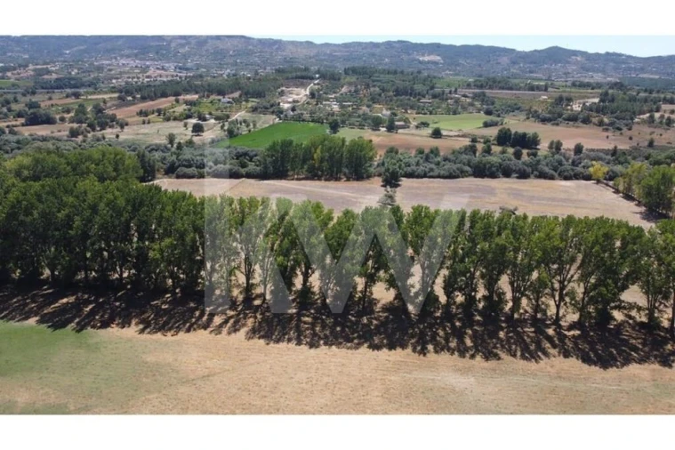 Quinta T9 para Venda em Covilhã e Canhoso Foto 67