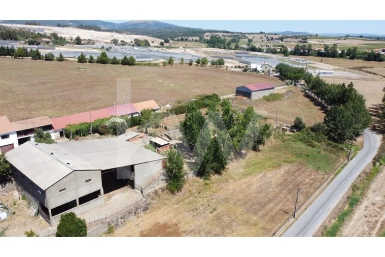 Quinta T9 para Venda em Covilhã e Canhoso Foto 81