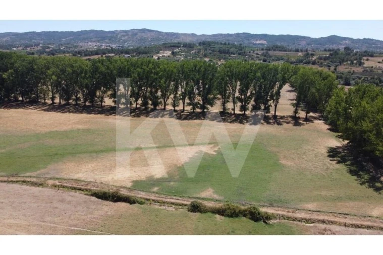 Quinta T9 para Venda em Covilhã e Canhoso Foto 83