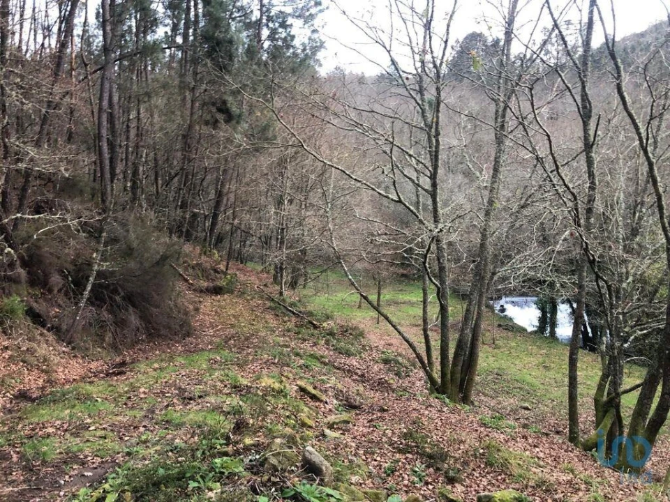 Terreno para Venda em Santa Cruz da Trapa e São Cristóvão de Lafões Foto 12