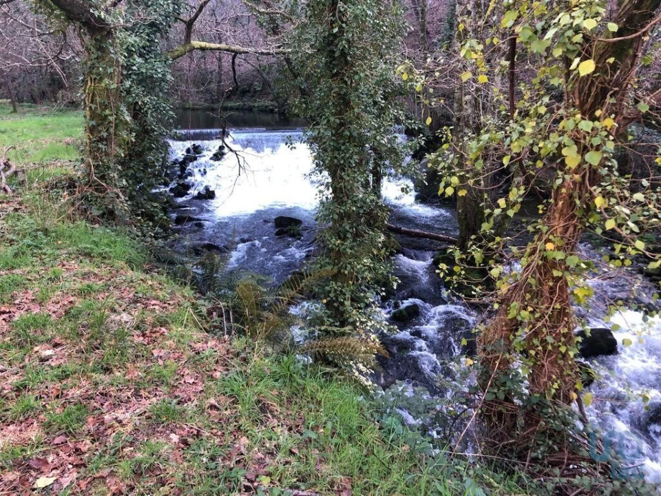 Terreno para Venda em Santa Cruz da Trapa e São Cristóvão de Lafões Foto 2