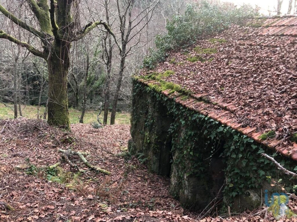 Terreno para Venda em Santa Cruz da Trapa e São Cristóvão de Lafões Foto 8