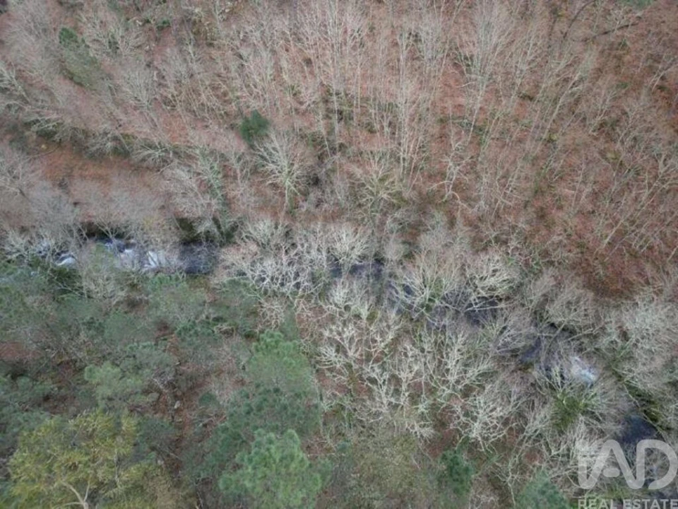 Terreno para Venda em Santa Cruz da Trapa e São Cristóvão de Lafões Foto 27