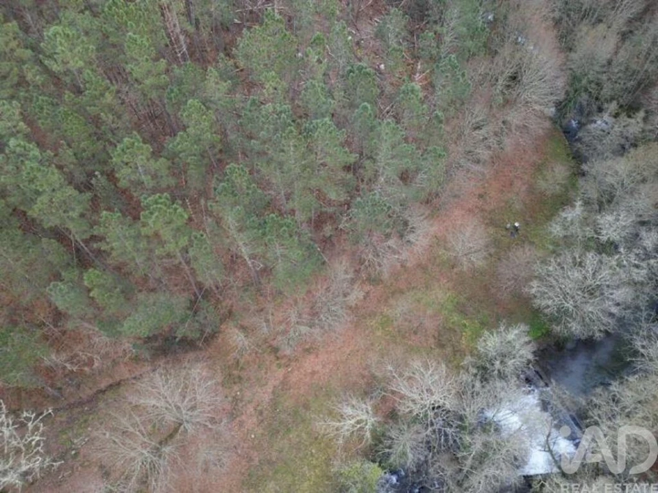 Terreno para Venda em Santa Cruz da Trapa e São Cristóvão de Lafões Foto 29