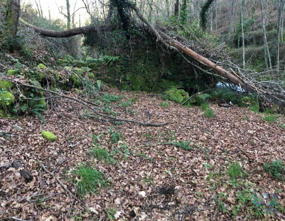 Terreno para Venda em Santa Cruz da Trapa e São Cristóvão de Lafões Foto 14