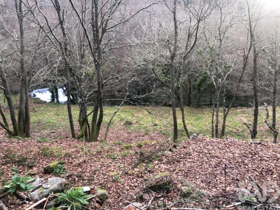 Terreno para Venda em Santa Cruz da Trapa e São Cristóvão de Lafões Foto 30