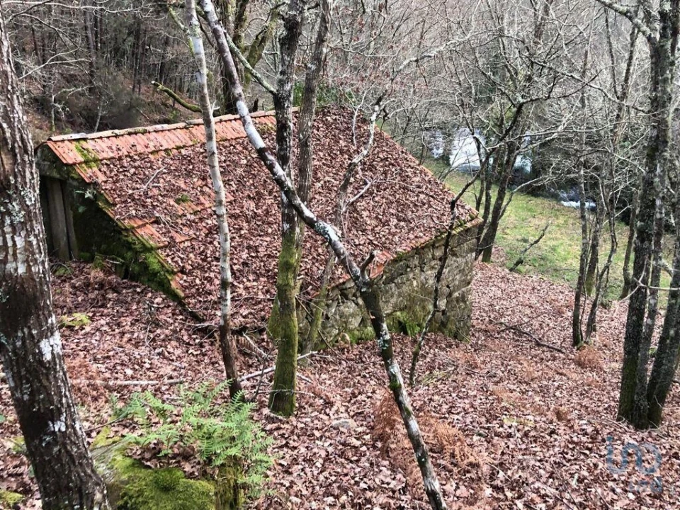 Terreno para Venda em Santa Cruz da Trapa e São Cristóvão de Lafões Foto 10