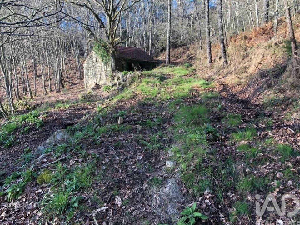 Terreno para Venda em Santa Cruz da Trapa e São Cristóvão de Lafões Foto 23