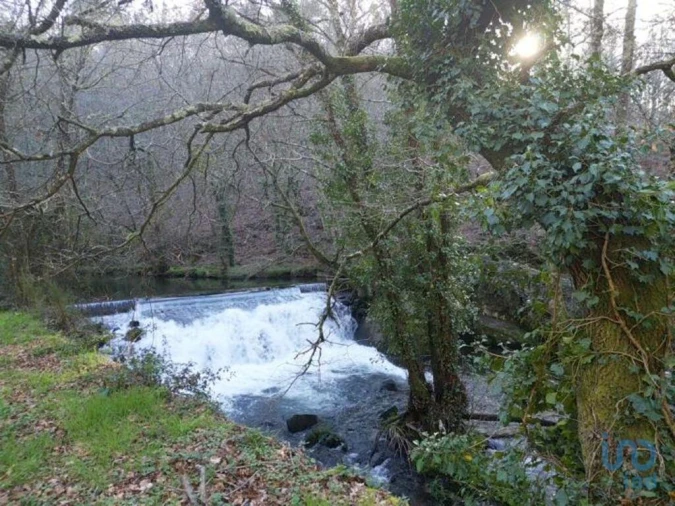 Terreno para Venda em Santa Cruz da Trapa e São Cristóvão de Lafões Foto 1