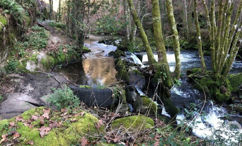 Terreno para Venda em Santa Cruz da Trapa e São Cristóvão de Lafões Foto 17