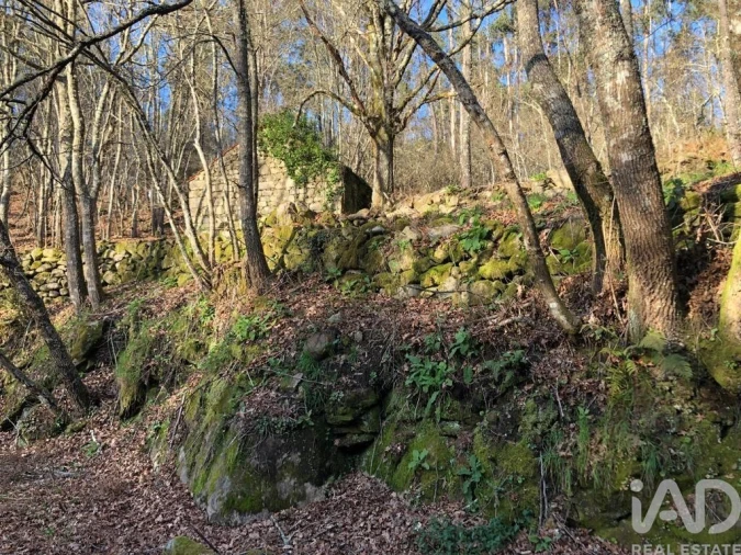 Terreno para Venda em Santa Cruz da Trapa e São Cristóvão de Lafões Foto 22