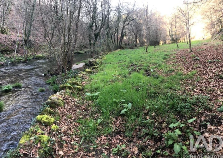 Terreno para Venda em Santa Cruz da Trapa e São Cristóvão de Lafões Foto 19