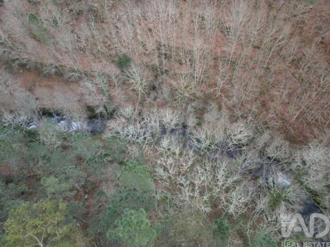 Terreno para Venda em Santa Cruz da Trapa e São Cristóvão de Lafões Foto 27
