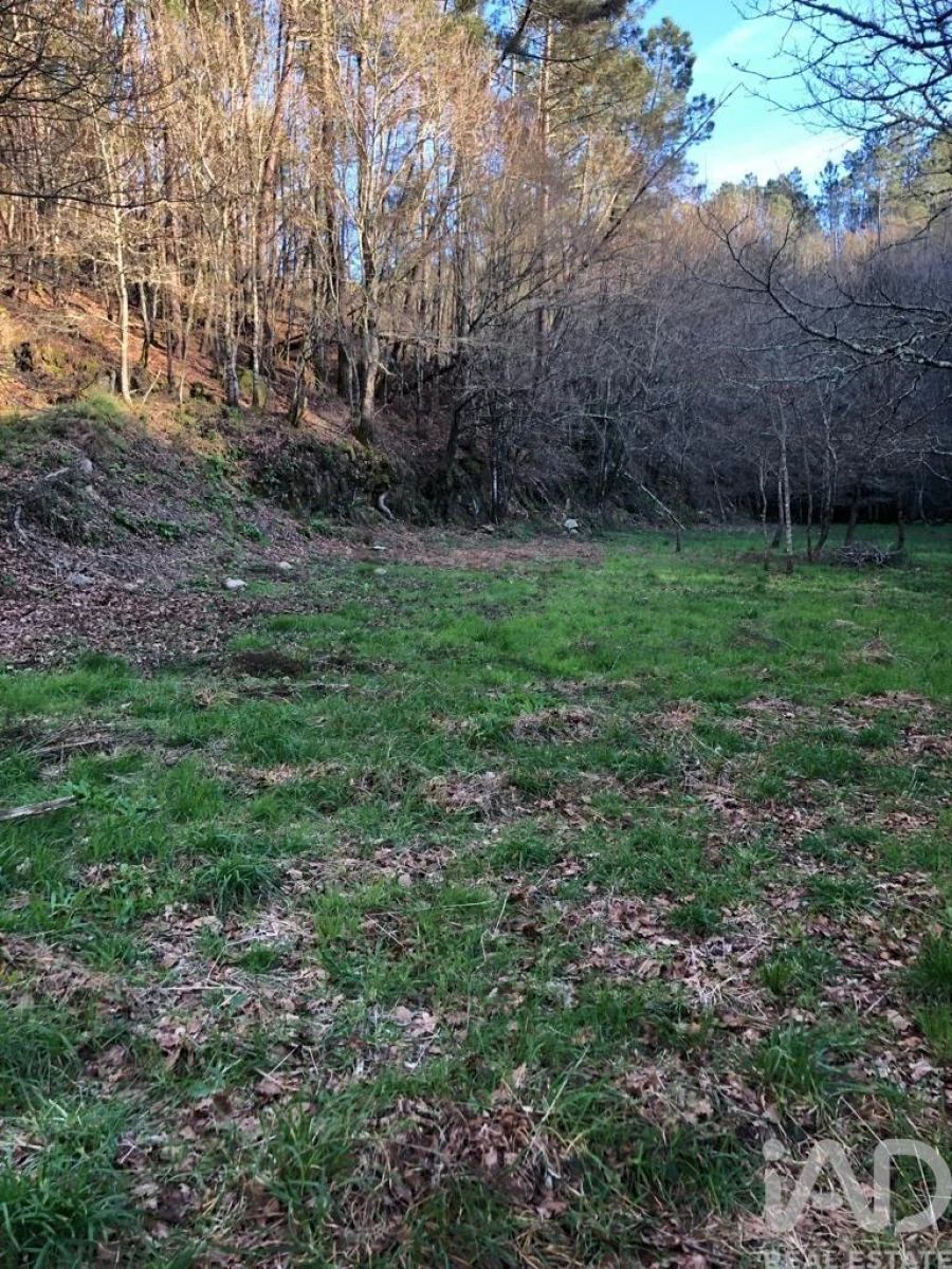 Terreno para Venda em Santa Cruz da Trapa e São Cristóvão de Lafões Foto 24