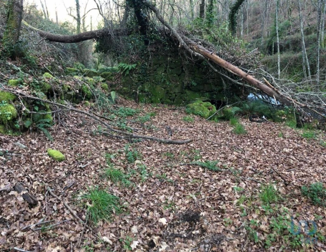 Terreno para Venda em Santa Cruz da Trapa e São Cristóvão de Lafões Foto 14