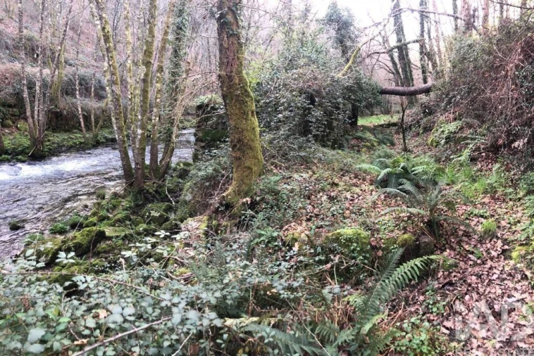 Terreno para Venda em Santa Cruz da Trapa e São Cristóvão de Lafões Foto 20