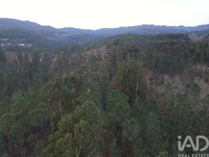 Terreno para Venda em Santa Cruz da Trapa e São Cristóvão de Lafões Foto 26