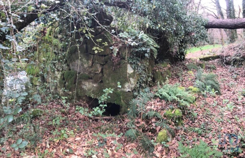Terreno para Venda em Santa Cruz da Trapa e São Cristóvão de Lafões Foto 15