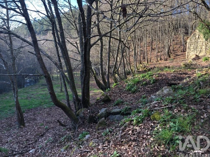 Terreno para Venda em Santa Cruz da Trapa e São Cristóvão de Lafões Foto 21