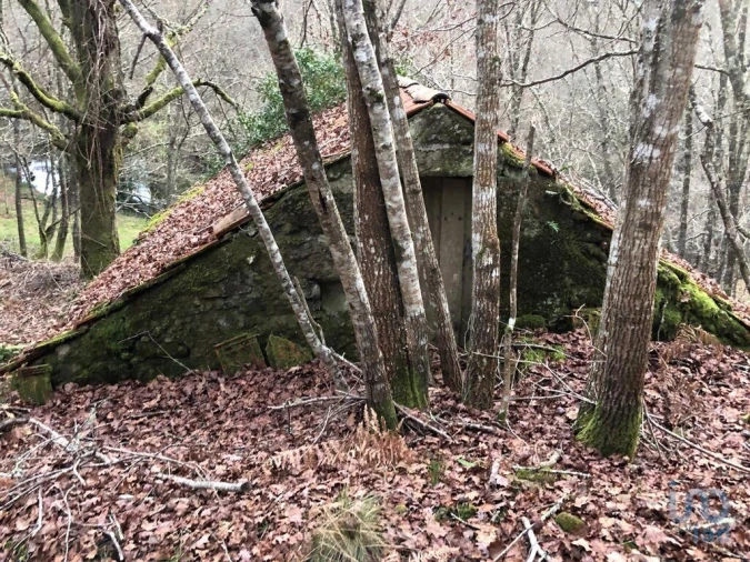Terreno para Venda em Santa Cruz da Trapa e São Cristóvão de Lafões Foto 9