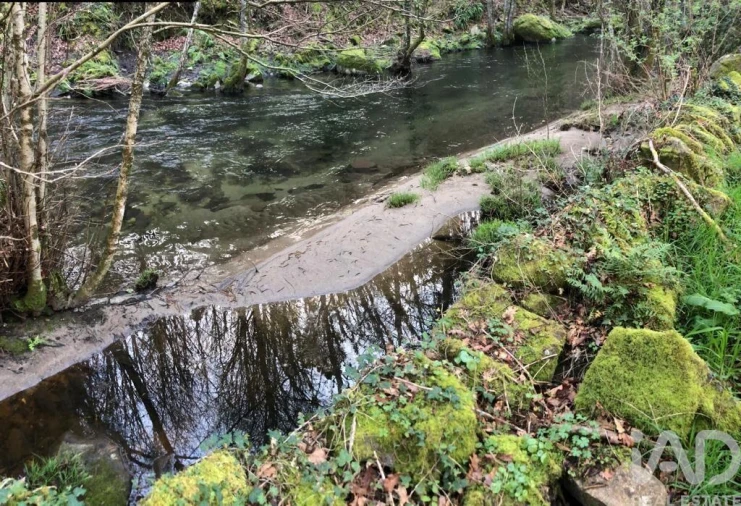 Terreno para Venda em Santa Cruz da Trapa e São Cristóvão de Lafões Foto 18