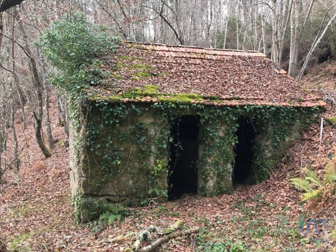 Terreno para Venda em Santa Cruz da Trapa e São Cristóvão de Lafões Foto 7