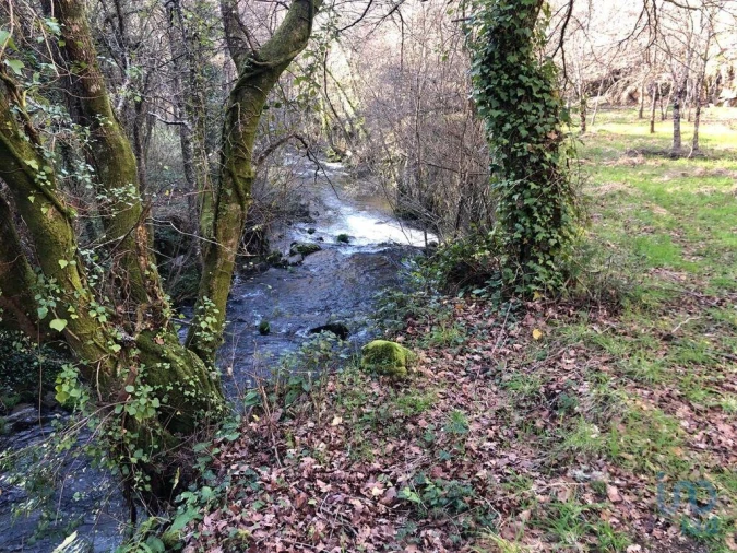 Terreno para Venda em Santa Cruz da Trapa e São Cristóvão de Lafões Foto 4