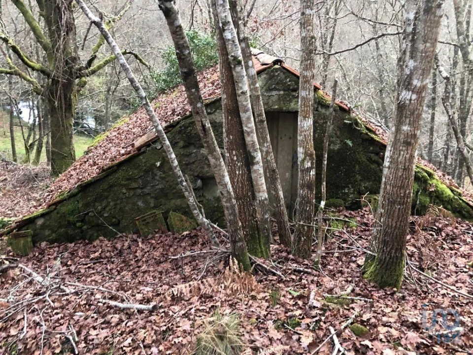 Terreno para Venda em Santa Cruz da Trapa e São Cristóvão de Lafões Foto 9