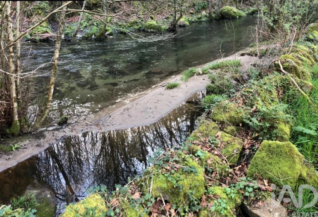 Terreno para Venda em Santa Cruz da Trapa e São Cristóvão de Lafões Foto 18
