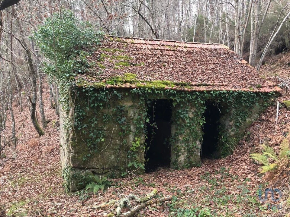 Terreno para Venda em Santa Cruz da Trapa e São Cristóvão de Lafões Foto 7