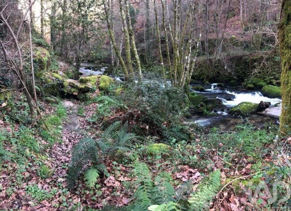 Terreno para Venda em Santa Cruz da Trapa e São Cristóvão de Lafões Foto 16