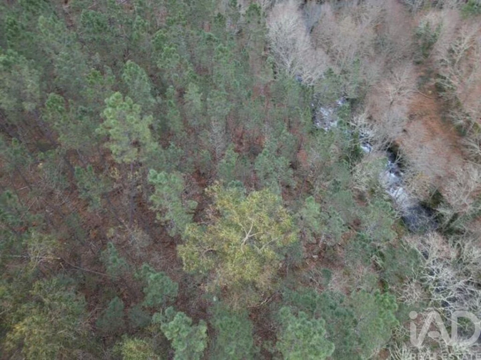 Terreno para Venda em Santa Cruz da Trapa e São Cristóvão de Lafões Foto 28