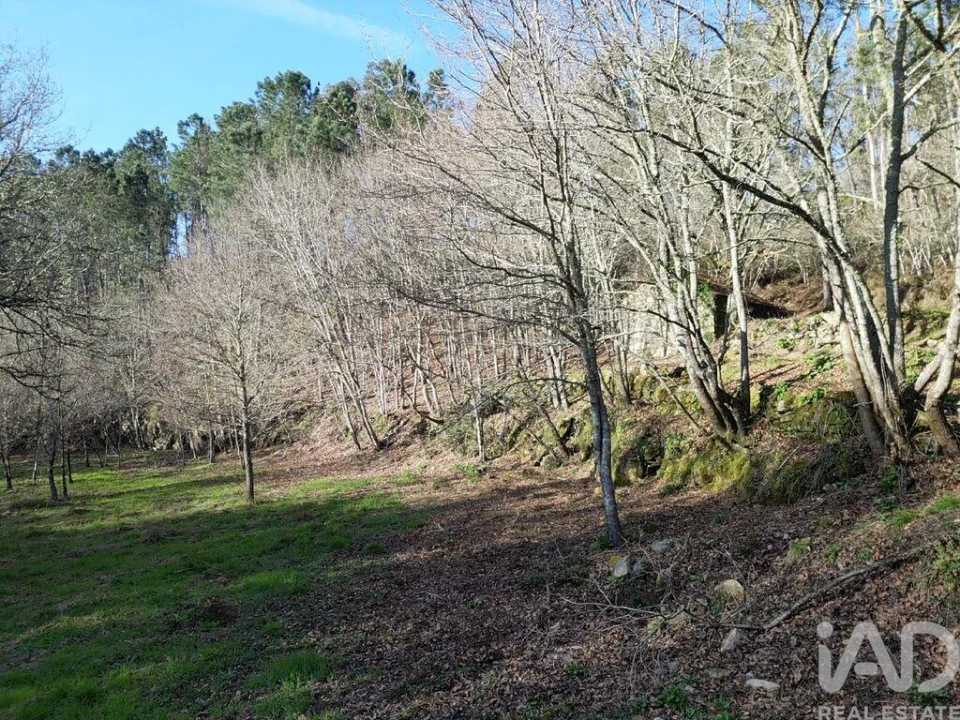 Terreno para Venda em Santa Cruz da Trapa e São Cristóvão de Lafões Foto 25
