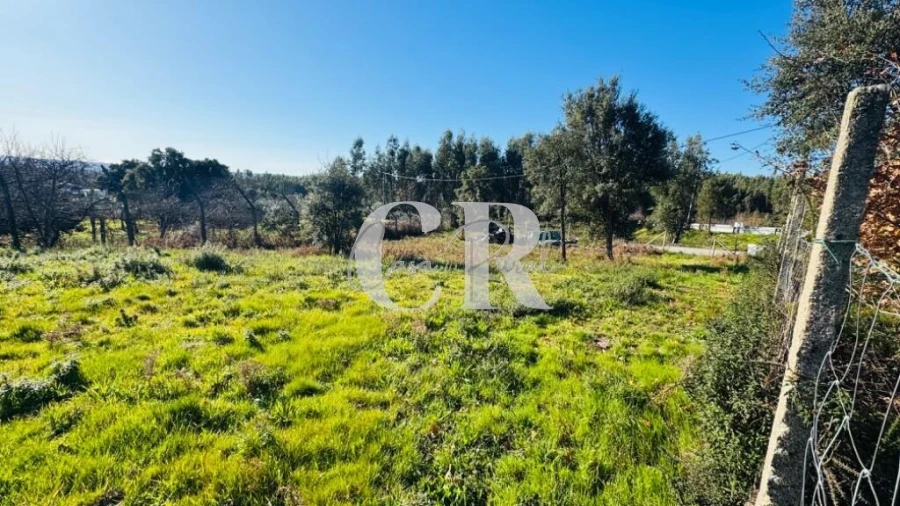 Terreno para Venda em Graça Foto 4