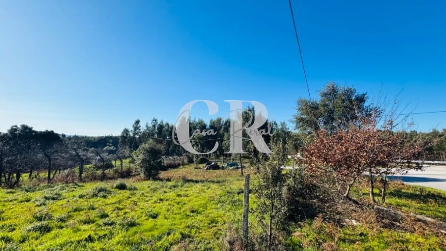 Terreno para Venda em Graça Foto 5