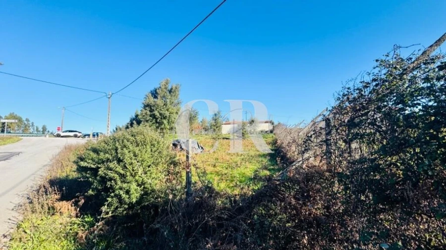 Terreno para Venda em Graça Foto 2
