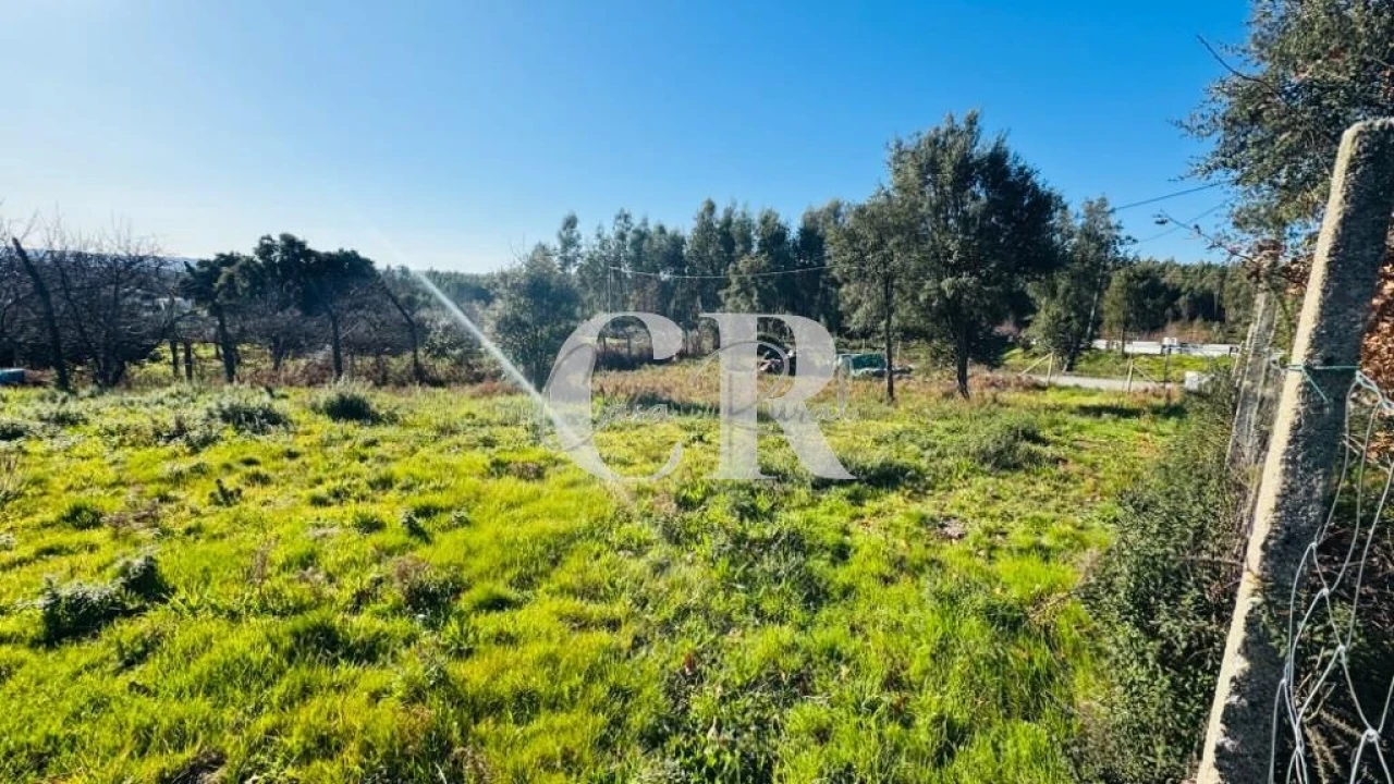Terreno para Venda em Graça Foto 3