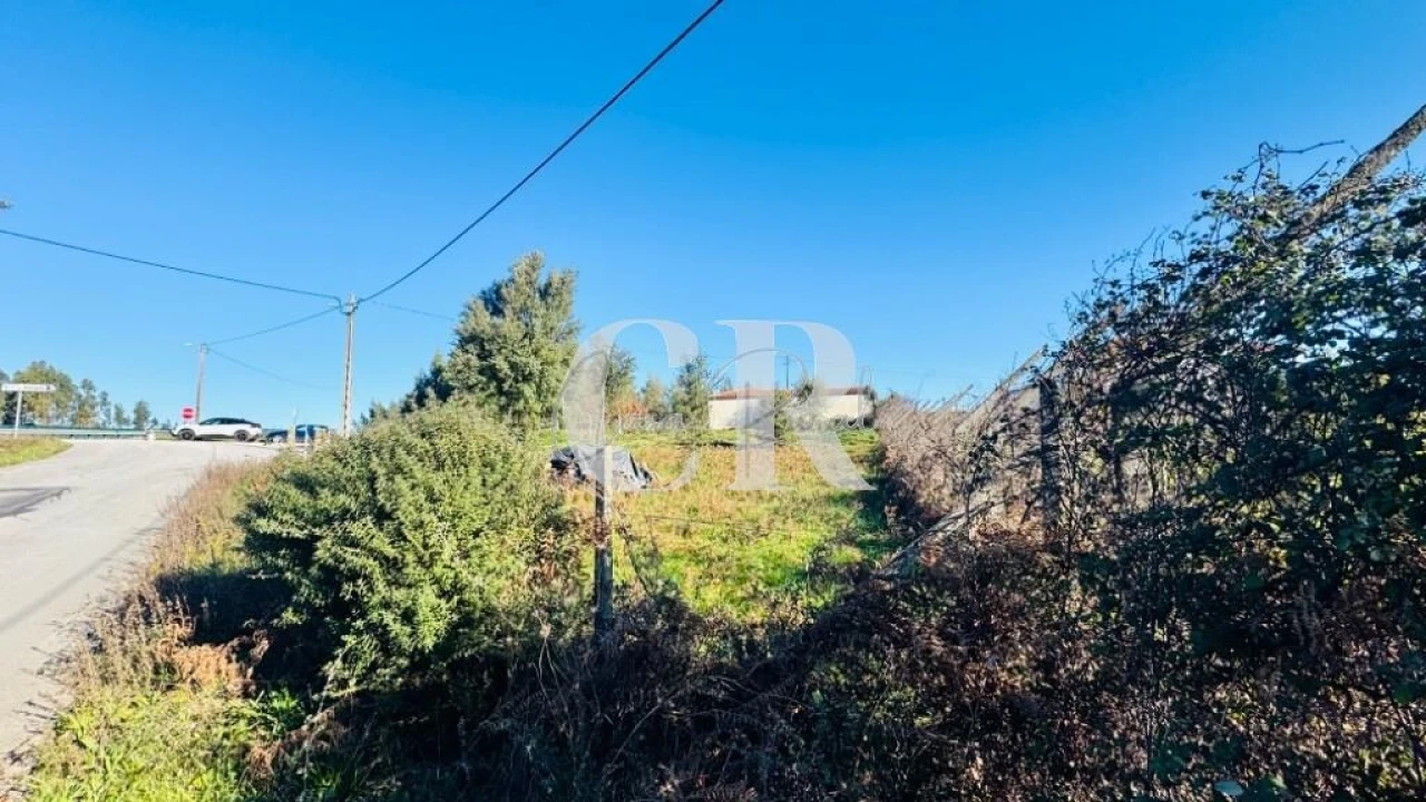 Terreno para Venda em Graça Foto 2
