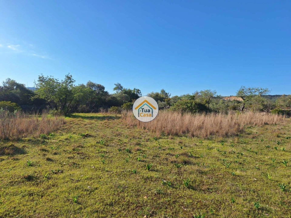 Terreno para Venda em Santa Catarina da Fonte do Bispo Foto 19
