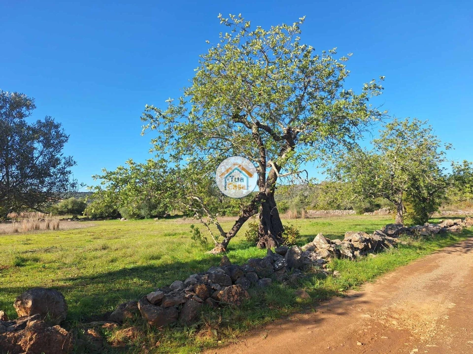Terreno para Venda em Santa Catarina da Fonte do Bispo Foto 5