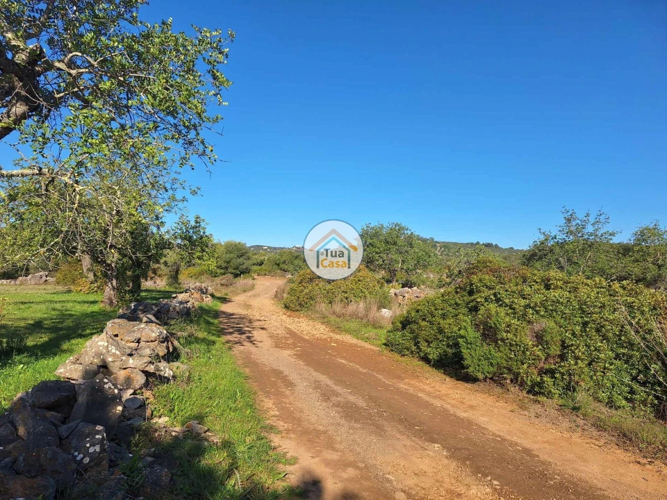 Terreno para Venda em Santa Catarina da Fonte do Bispo Foto 3