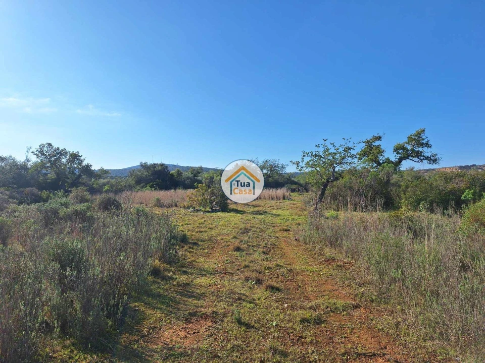 Terreno para Venda em Santa Catarina da Fonte do Bispo Foto 10