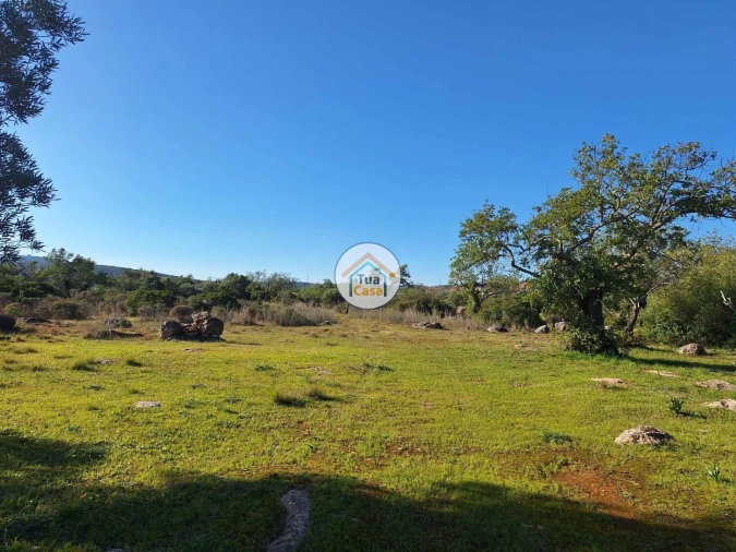 Terreno para Venda em Santa Catarina da Fonte do Bispo Foto 16