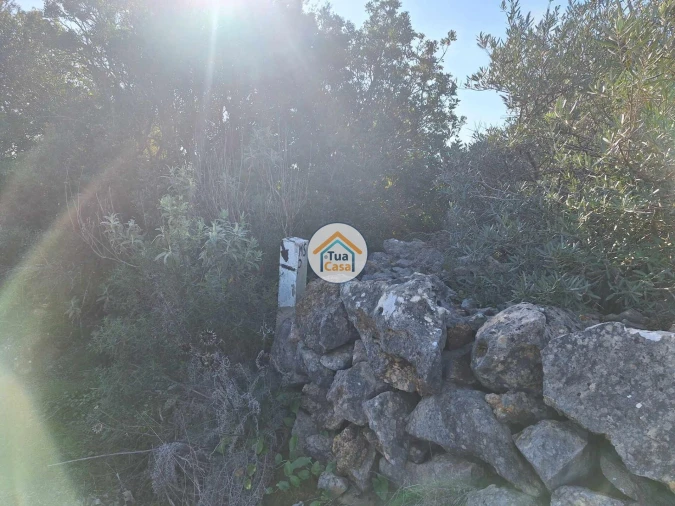 Terreno para Venda em Santa Catarina da Fonte do Bispo Foto 15