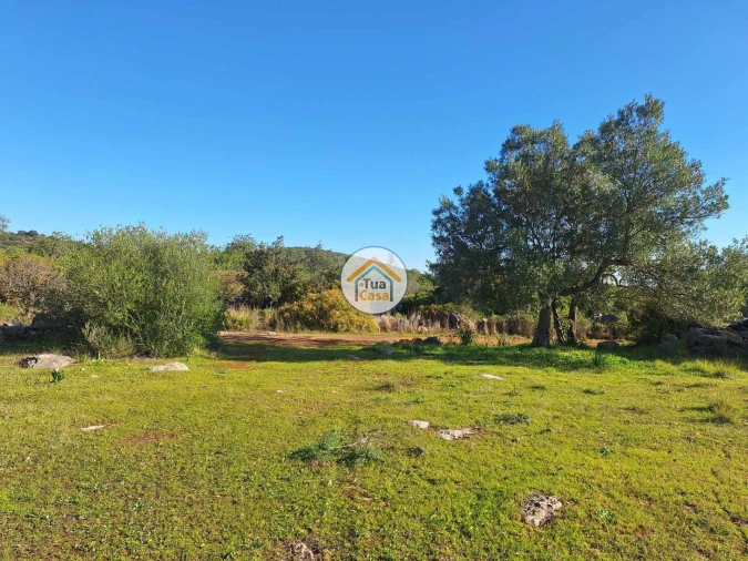 Terreno para Venda em Santa Catarina da Fonte do Bispo Foto 14