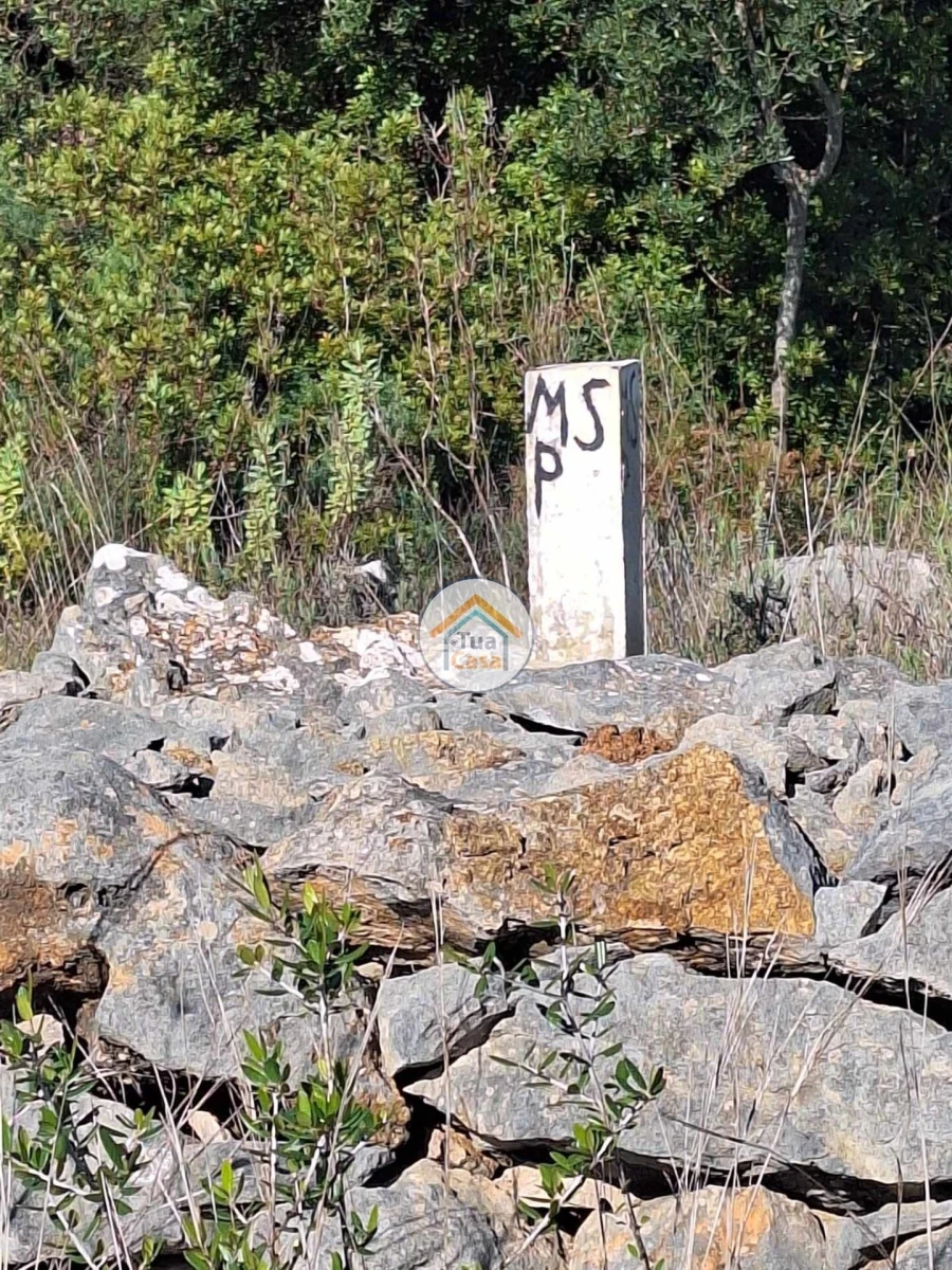 Terreno para Venda em Santa Catarina da Fonte do Bispo Foto 18